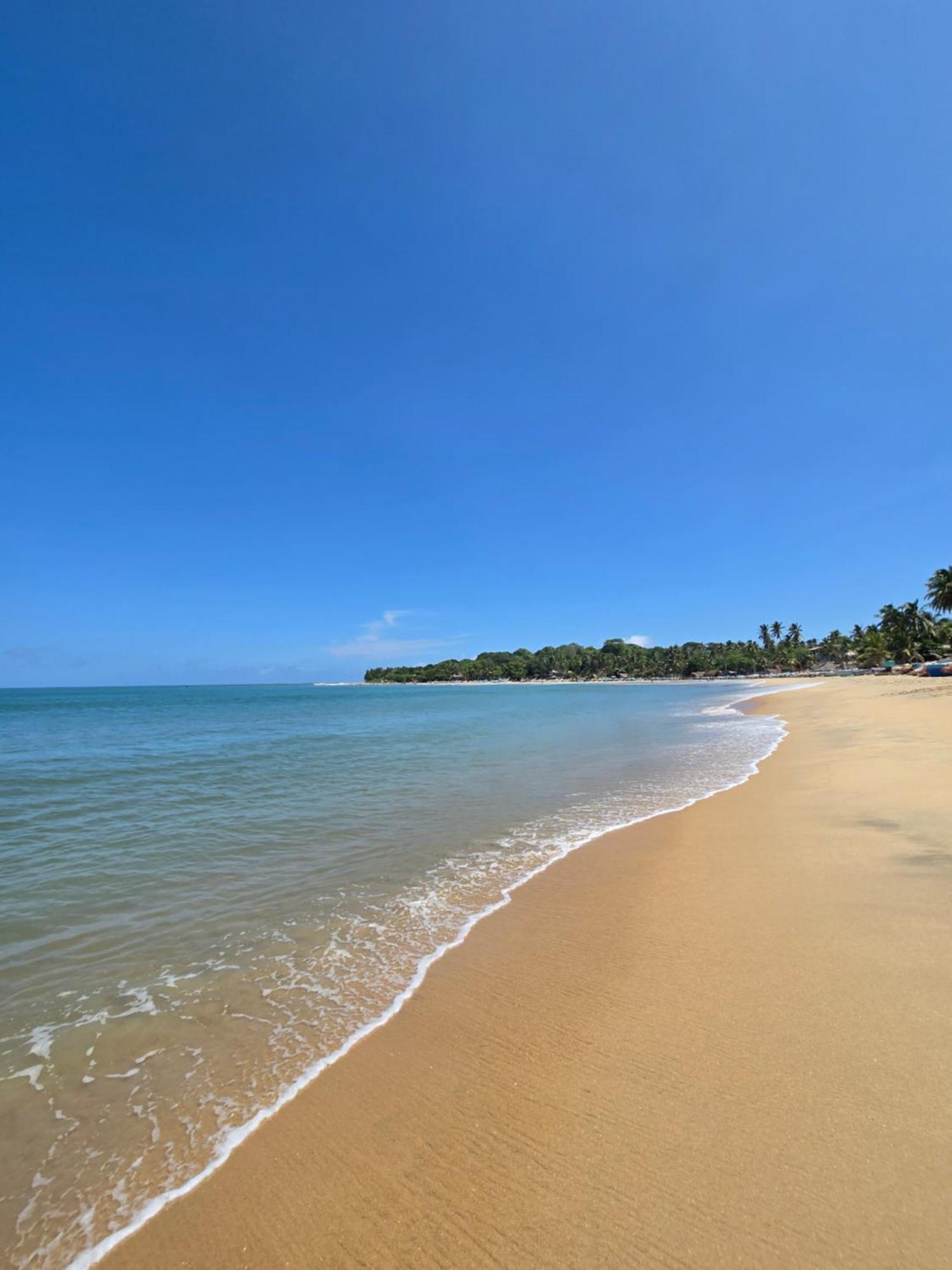 Surf N Sun - Arugam Bay Hotel Buitenkant foto