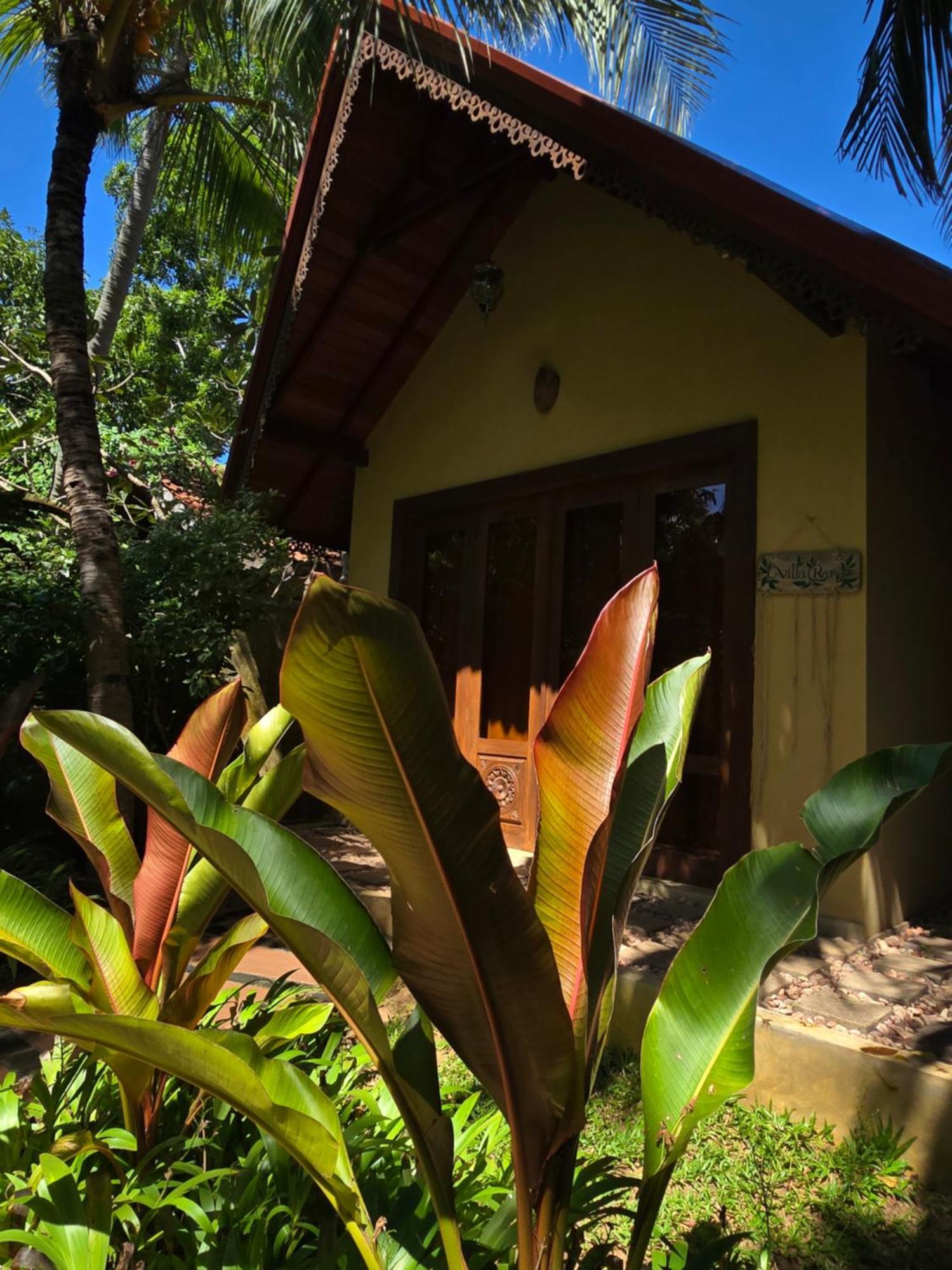 Surf N Sun - Arugam Bay Hotel Buitenkant foto