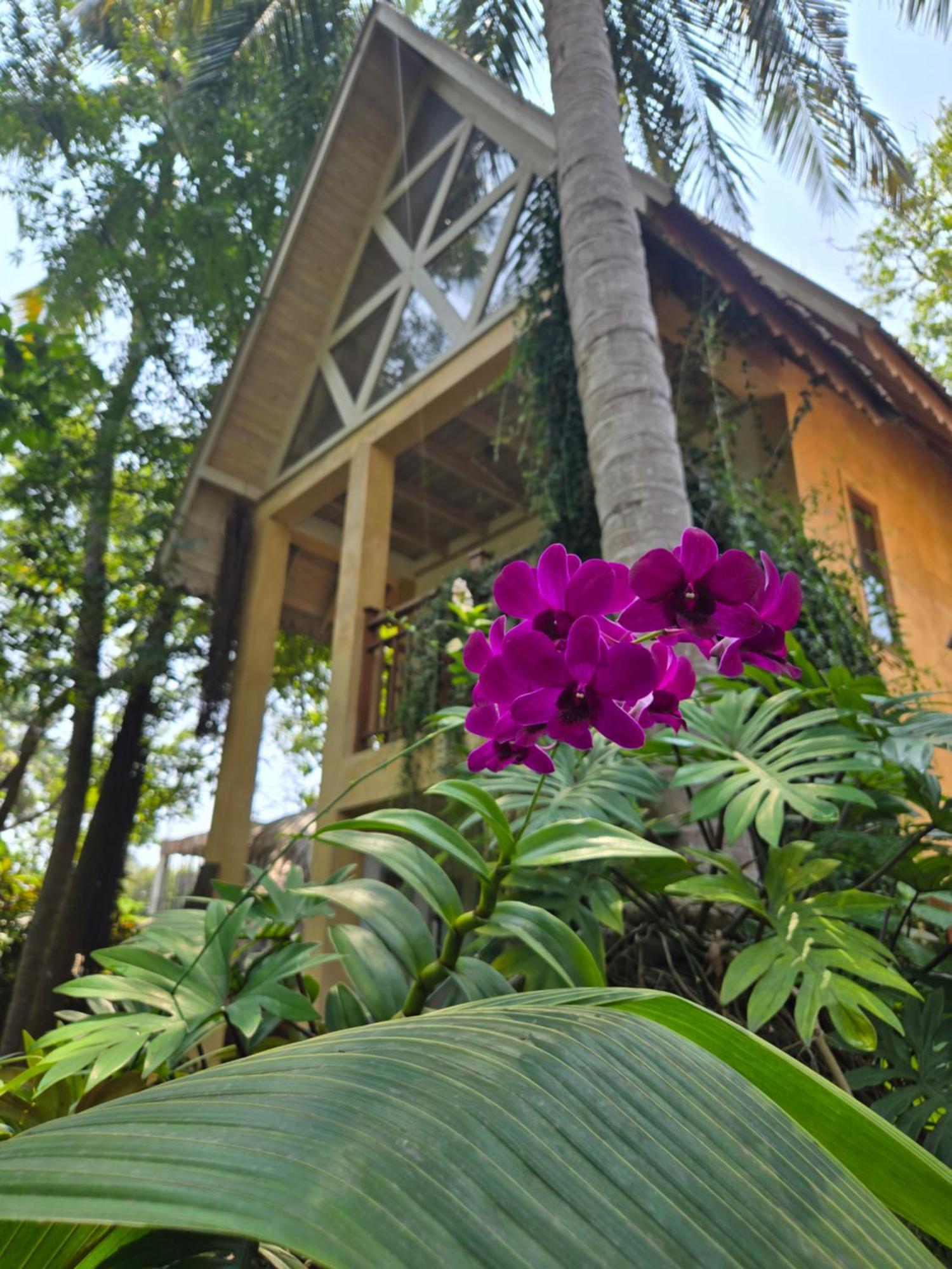 Surf N Sun - Arugam Bay Hotel Kamer foto