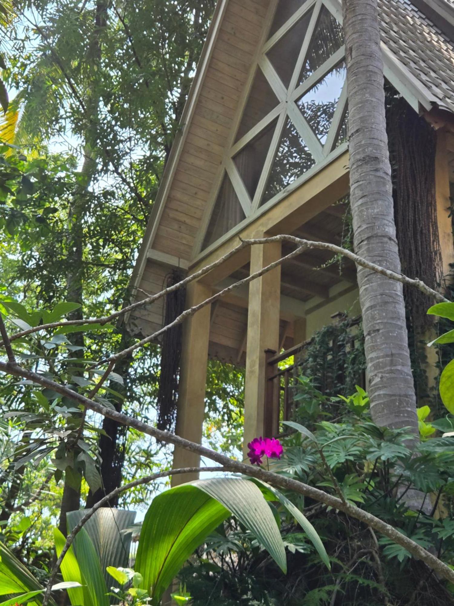 Surf N Sun - Arugam Bay Hotel Kamer foto