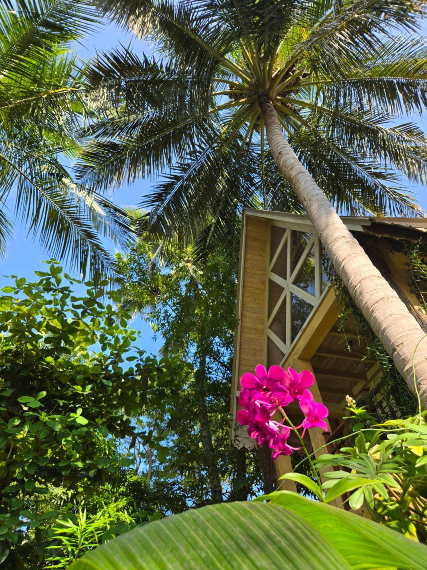 Surf N Sun - Arugam Bay Hotel Kamer foto